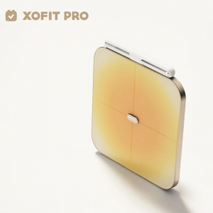 截圖 2025-02-10 下午4.24.12